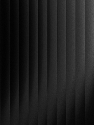 Web Design + APP Development